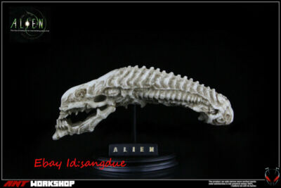 AVP 1/6 Predator Scale Life Size Alien Warrior Resin Bust Alien