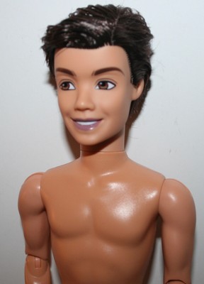 brunette ken doll