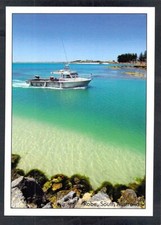 E1770 Australia SA Robe Fishing Boast coming In postcard