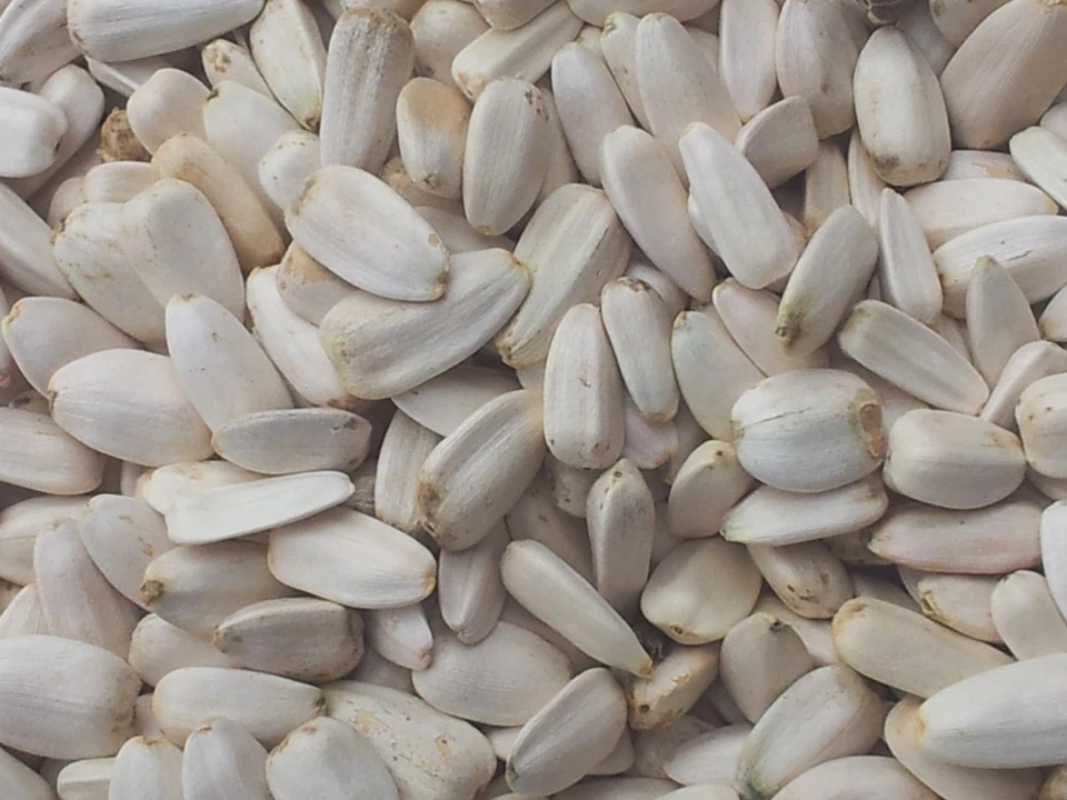 MATADOR Sonnenblumenkerne weiß 4 kg Vogelfutter Winterfutter