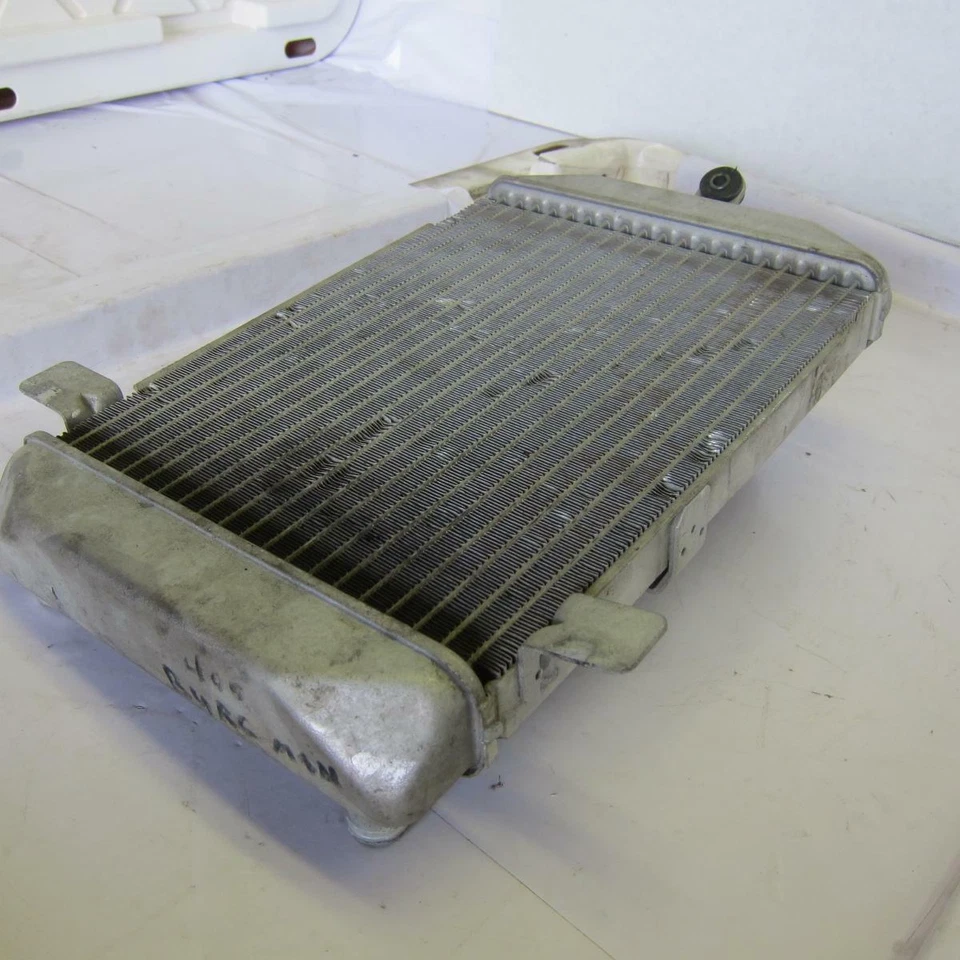 Suzuki Burgman 400 AN400 2005 OEM motor radiador motor enfriador radiador de refrigeración Foto 3 de 4