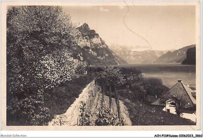 ACH-P11-SUISSE-0925 - Game In Weesen Am Walensee