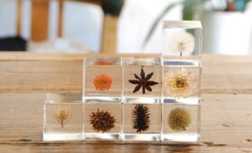 Cubo Sola Globo Cardo Acrílico Cubo 40mm Hecho a Mano Espécimen Botánico Japón - Imagen 5 de 9