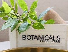 **50 Fresh Bay Leaves hand picked to order - Organic**