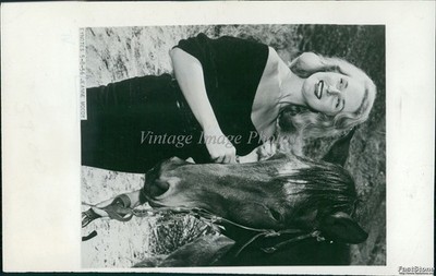 1961 Photo Jeanne Moody Actress Known For Three On A Spree & Horse Movies 5X7
