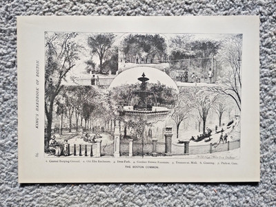 The Boston Common, Boston, Massachusetts - Antique Print - 1882