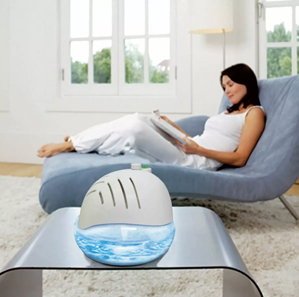Purifier dischem 2024