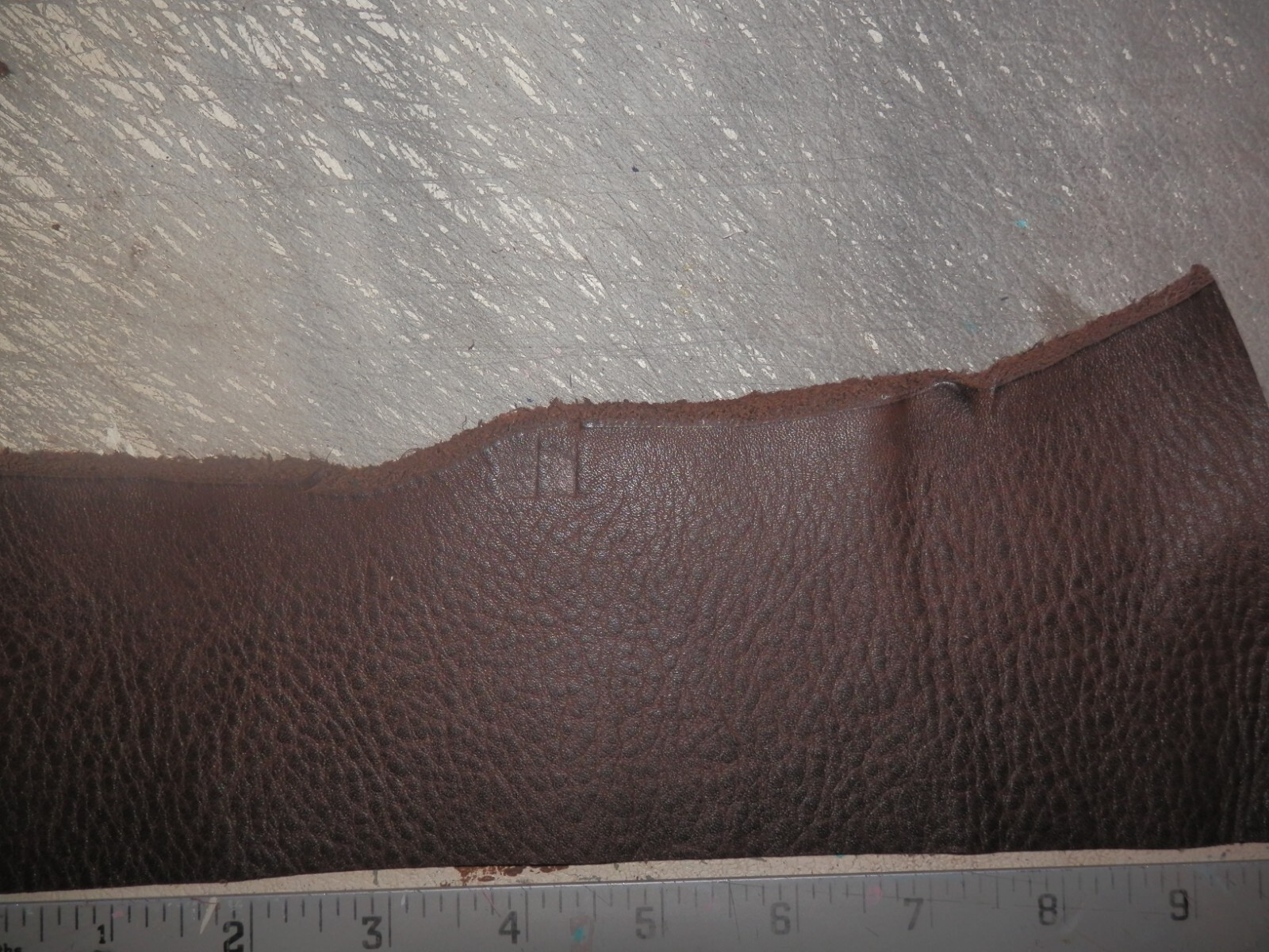 Picture 8 of 11