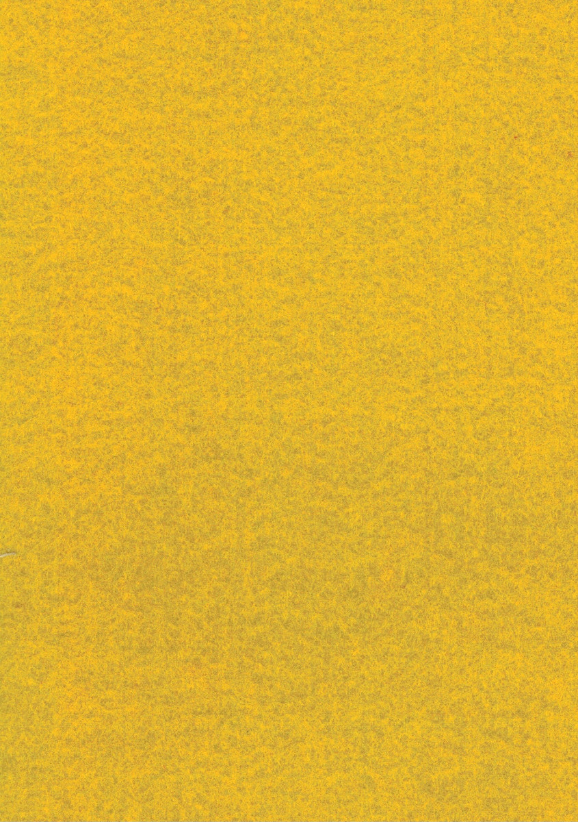 Hobbyfun Filzplatte 50x75 Cm, 3 Mm Dick, Farbe Apfelgrün – Zum Basteln & Dekorieren