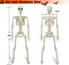 2 Pack 24"Halloween Skeleton - 2 Ft Life Size Human Skeleton with Full Body Posa