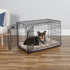 36-Inch Two-Door iCrate Folding Dog Crate W/ Divider Panel