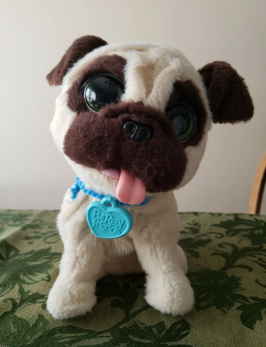 My jumping clearance pug