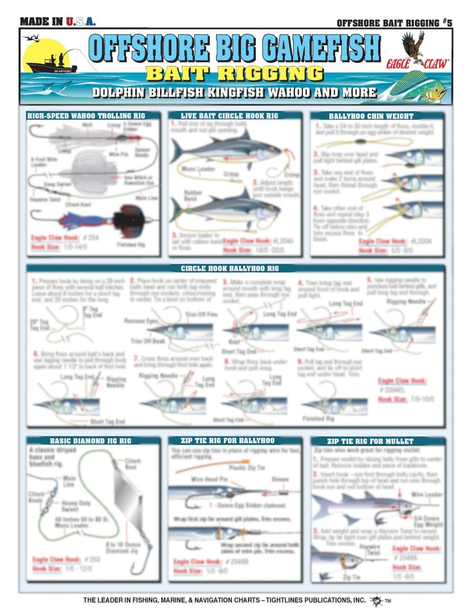 Fishing Hook Size Chart Fishermen's Freshwater Bait Rigging #1