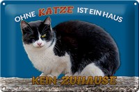 Blechschild Spruch 30X20 Cm Ohne Katze Kein Zuhause Metall Deko Schild Tin Sign