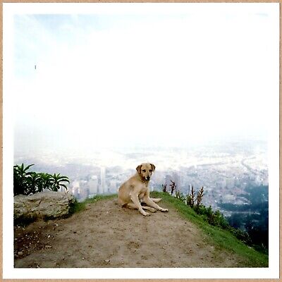Alec Soth 写真集 Dog Days Bogota s-l400.jpg