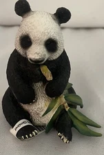 Schleich Panda Bear Eating Bamboo Adult Retired 2011 Figure 14664 New