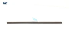 2015 - 2024 NISSAN MURANO FRONT RIGHT DOOR WINDOW BELT WEATHERSTRIP SEAL OEM