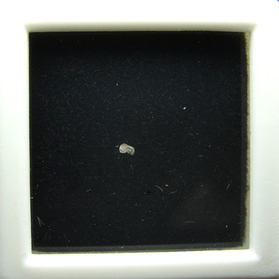 Meteorite - NWA 11273 - Achondrite Lunar Feldspathic Breccia - 11273-??? - Micro