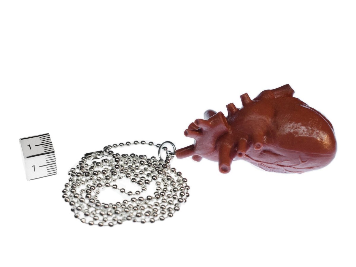 Anatomie Halskette Lunge – 80 Cm, Detailliert, Aus Hartgummi, Versilbert