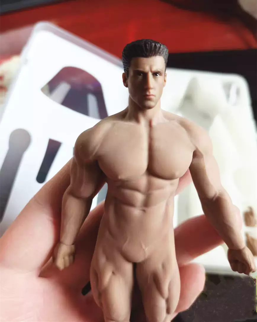 1/12 TBLeague PHICEN TM02A 16.3cm Male Seamless Body W/ Head Figure Doll  Model