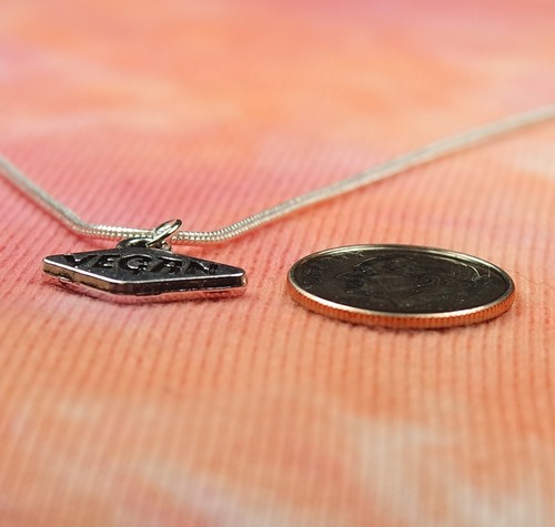 Vegan Necklace, 16"-36" chain Vegetarian Veggie Lover Message Charm Pendant nb - Picture 3 of 7
