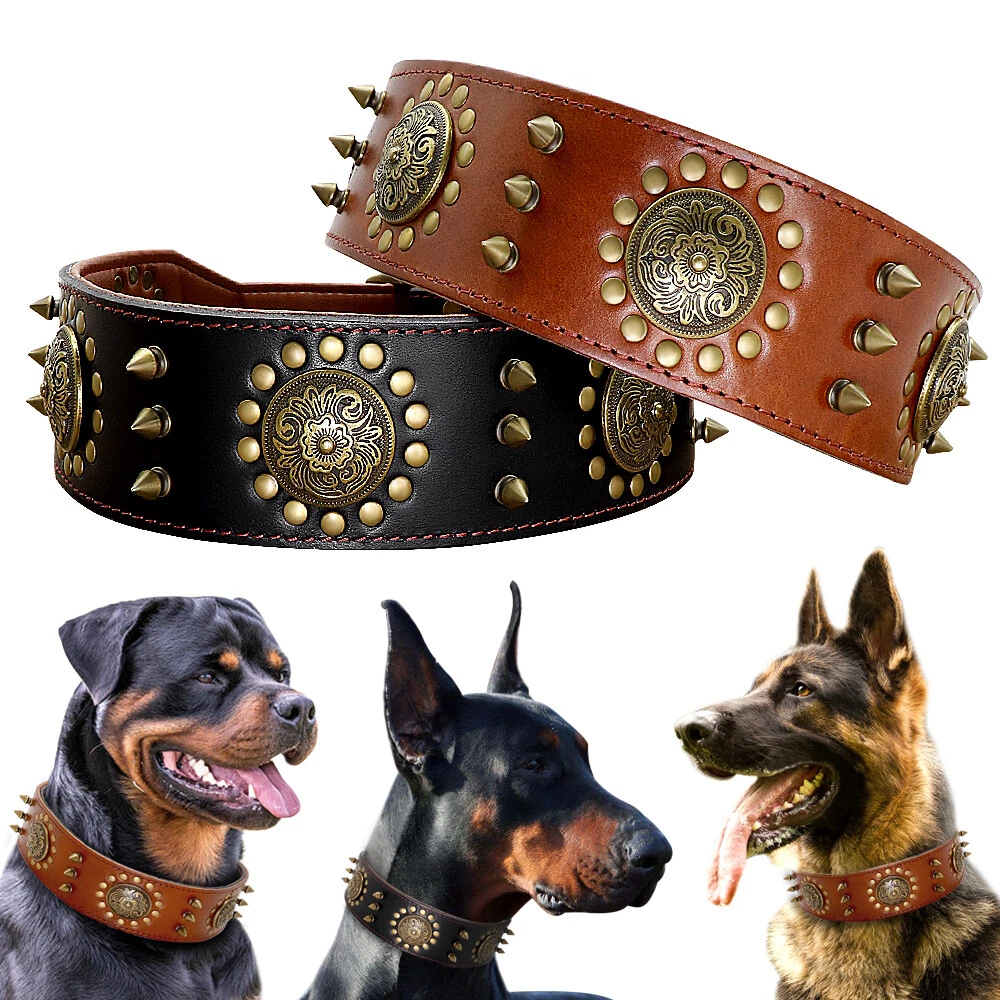 Black studded dog outlet collar