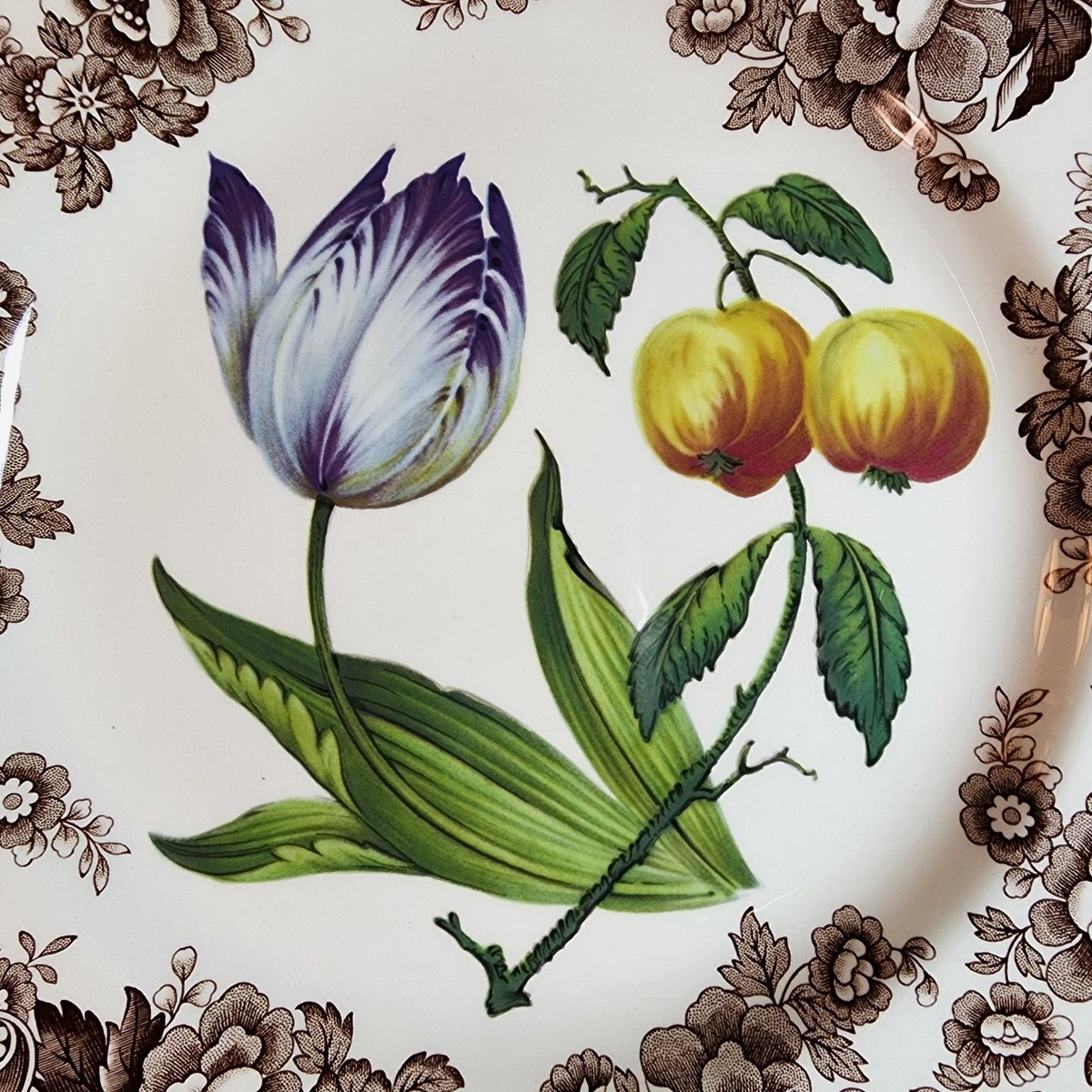 Spode Plate Woodland Garden Delamere Brown Border Dinner Porcelain