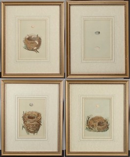 Antique F.O Morris History Nests & Eggs British Birds Ornithology Lithographs