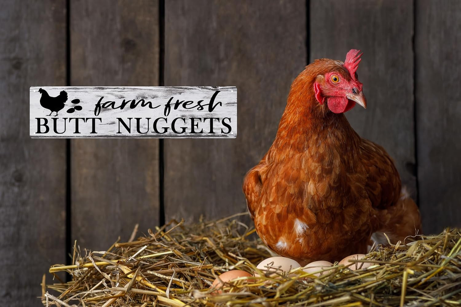 Chicken Coop Accessories Chicken Decor Farm House Decorations for Rustic Home Ki