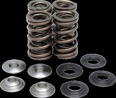 KIBBLEWHITE 80-80410 KIT VALVESPRING RAPTOR700