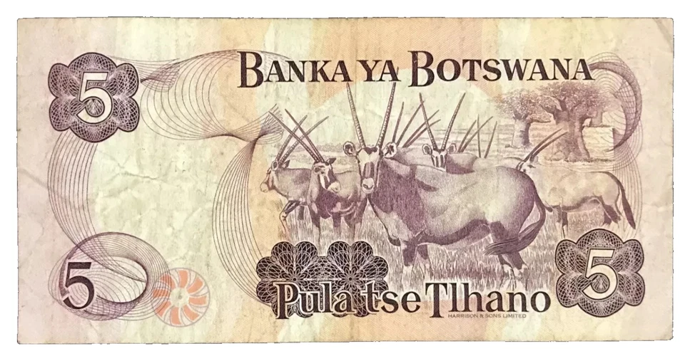 1982 BOTSWANA - 5 PULA - P#8 - VF - MB3 - Image 2 of 2