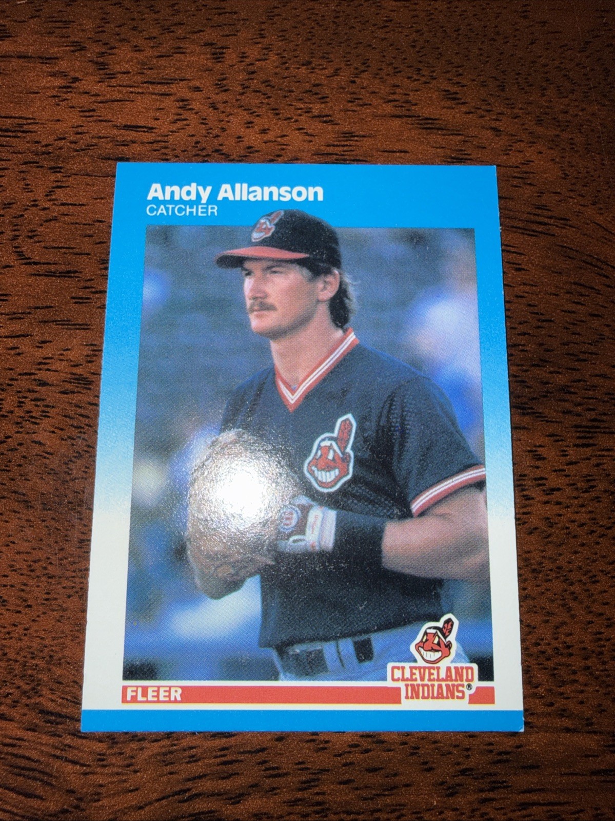 1987 Fleer - Andy Allanson #241 ~ FREE SHIPPING