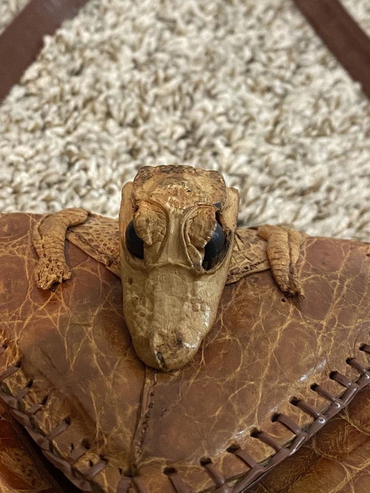 Mini bolso de mano vintage de taxidermia de cuero de cocodrilo genuino Foto 4 de 4