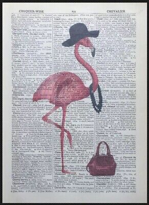 Vintage Pink Flamingo Print Original 1867 Dictionary Page Wall Art Picture Books