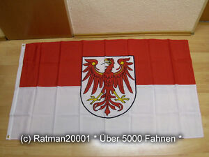 Stockflagge Fahne Flagge Cottbus 30 x 45 cm