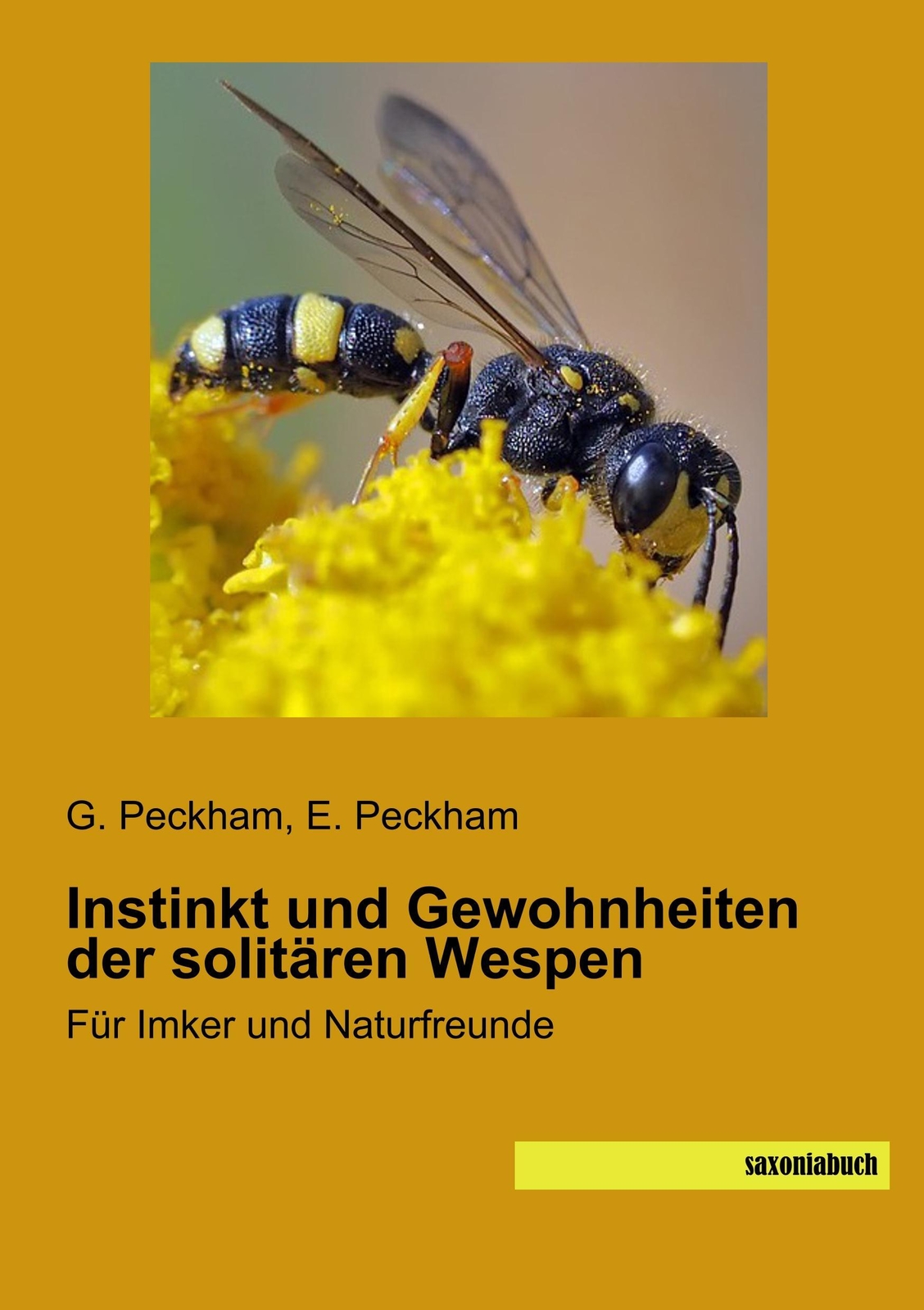 G. Peckham (u. A.) | Instinkt Und Gewohnheiten Der Solitären Wespen |