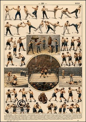 A4 Foto altes Boxen - Enzyklopädie Kampfsport Vintage FA0514