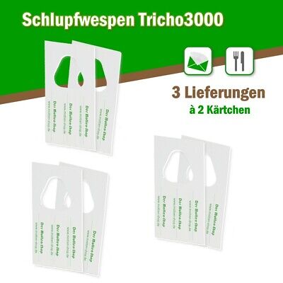 Schlupfwespen Gegen Lebensmittelmotten 6000 Schlupfwespen Auf 2 Karten Ebay