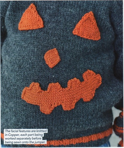 ~ Pull-Out Knitting Pattern For Child's Monster Jumper ~ 1 ~ 11 years old ~ - Imagen 3 de 3