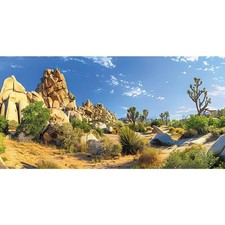 36x18 in Desert Plants Reptile Habitat Background Stone Terrarium Backdrop