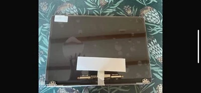 Ecran Apple MacBook Pro 13" A1989 A2159 A2251 A2289 Gris Sidéral LCD Complet - Photo 1/3