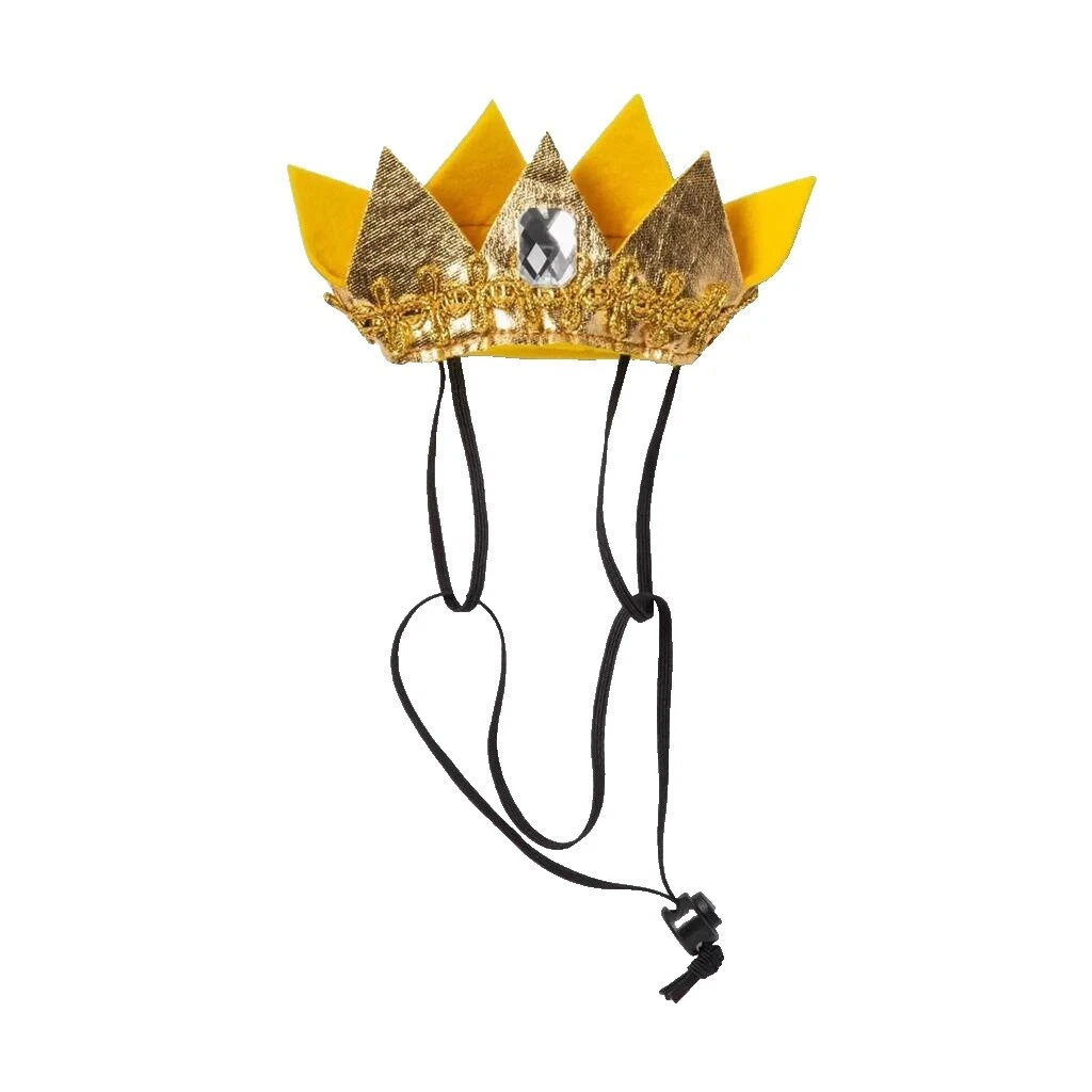 Princess Cat Costumes