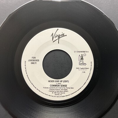 Common Sense, Never Give Up / 69 Times, 7'' 45rpm, Vinyl NM