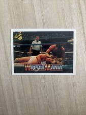 1990 Classic WWF The History of Wrestlemania #25 Brutus Beefcake Adrian Adonis