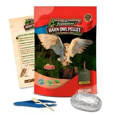 Barn Owl Pellets Classroom 1 Pack Small Small 1.0 to 1.5 inches , 1-pack