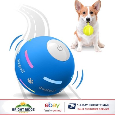 Interactive Dog Ball Toy with Motion Activation and USB Rechargeable Feature