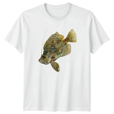 John Dory Fisch T-Shirt Natur Tierwelt 2026 Geburtstag Geschenk für Sie und Ihn