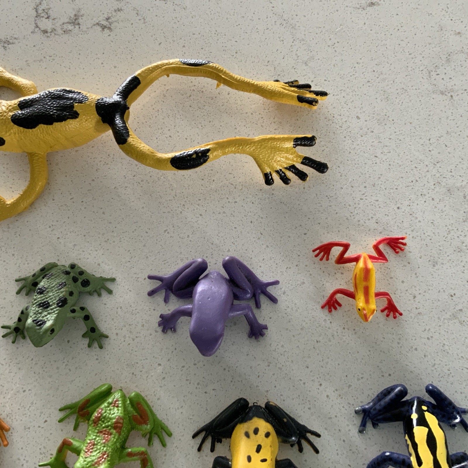 Safari Ltd + W. N. Made In China Collectible Set Of 15 Poison Dart Frogs Vintage