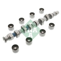 Schaeffler INA Nockenwellensatz Passend FüR Audi A3 Seat Cordoba Ibiza Leon