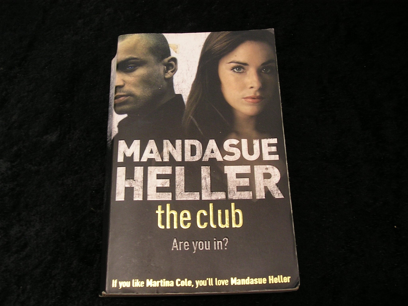 The Club by Mandasue Heller